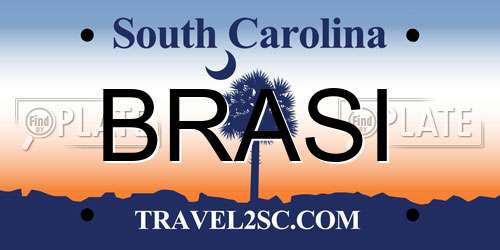 BRASI South Carolina License Plate