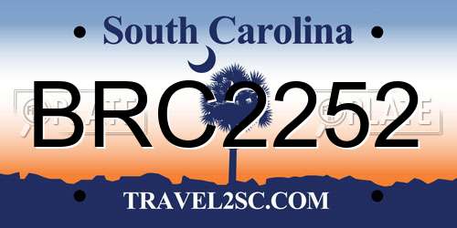 BRC2252 South Carolina License Plate