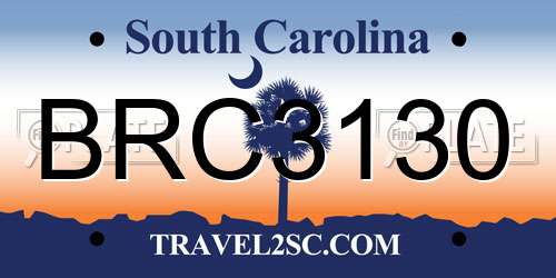 BRC3130 South Carolina License Plate