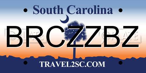 BRCZZBZ South Carolina License Plate