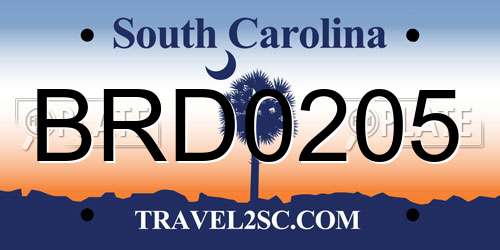 BRD0205 South Carolina License Plate