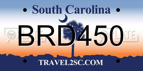 BRD450 South Carolina License Plate