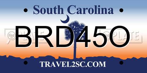 BRD45O South Carolina License Plate