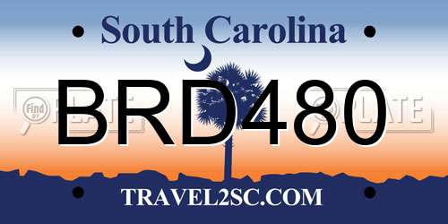 BRD480 South Carolina License Plate