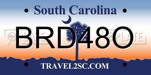 BRD48O South Carolina License Plate
