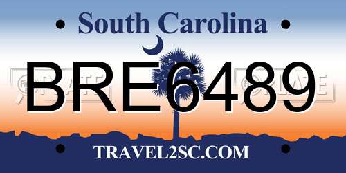 BRE6489 South Carolina License Plate