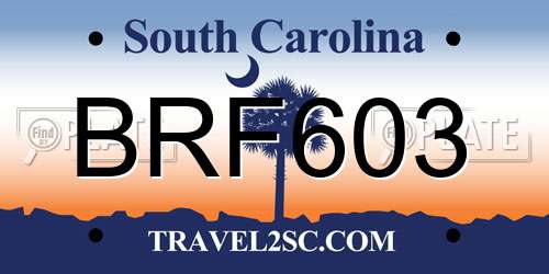 BRF603 South Carolina License Plate
