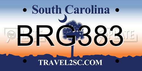BRG383 South Carolina License Plate