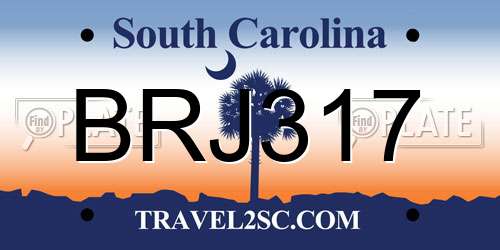 BRJ317 South Carolina License Plate