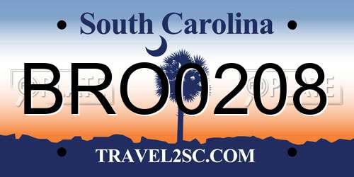 BRO0208 South Carolina License Plate