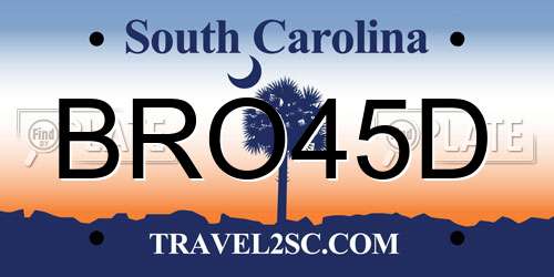 BRO45D South Carolina License Plate