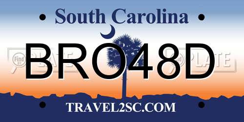 BRO48D South Carolina License Plate