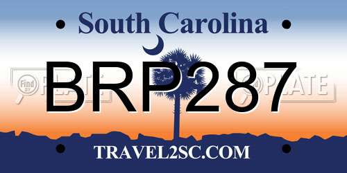 BRP287 South Carolina License Plate