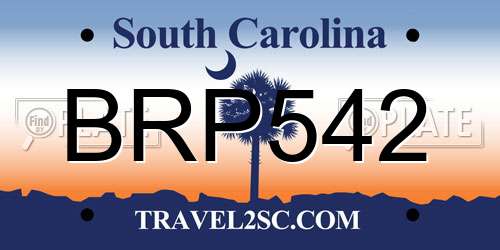 BRP542 South Carolina License Plate