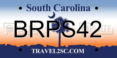 BRPS42 South Carolina License Plate
