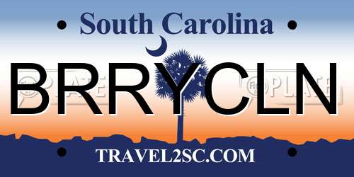 BRRYCLN South Carolina License Plate