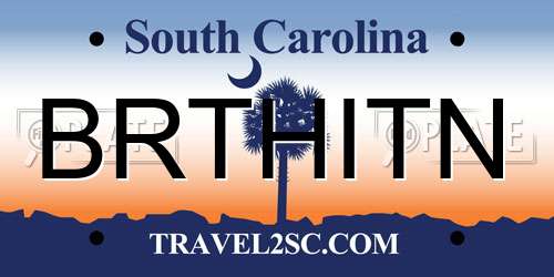 BRTHITN South Carolina License Plate