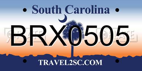 BRX0505 South Carolina License Plate