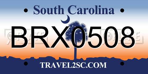 BRX0508 South Carolina License Plate