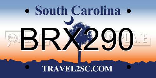 BRX290 South Carolina License Plate