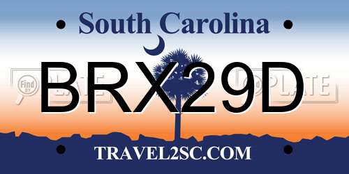 BRX29D South Carolina License Plate