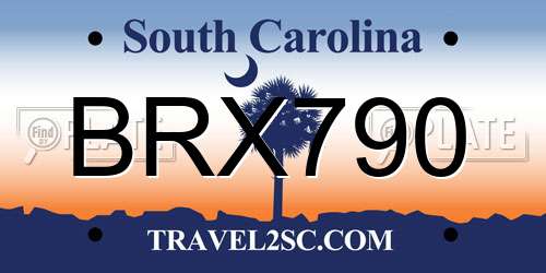 BRX790 South Carolina License Plate