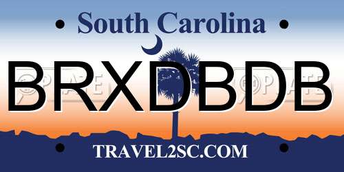 BRXDBDB South Carolina License Plate