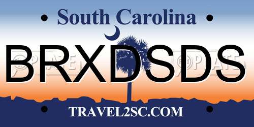 BRXDSDS South Carolina License Plate