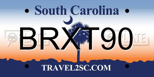 BRXT90 South Carolina License Plate