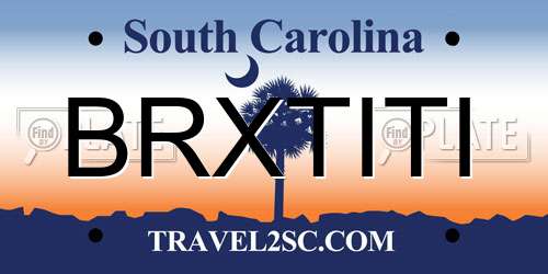 BRXTITI South Carolina License Plate