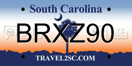 BRXZ90 South Carolina License Plate