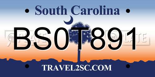 BS0T891 South Carolina License Plate