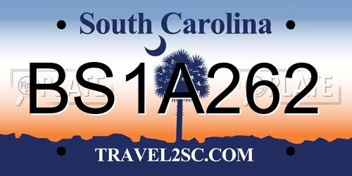 BS1A262 South Carolina License Plate