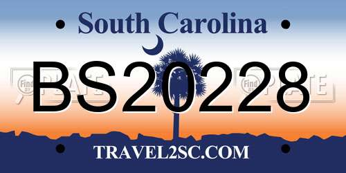 BS20228 South Carolina License Plate