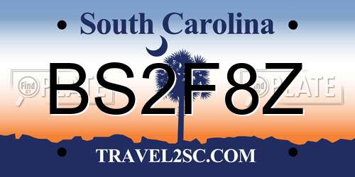 BS2F8Z South Carolina License Plate