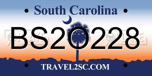 BS2O228 South Carolina License Plate