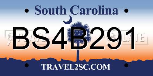 BS4B291 South Carolina License Plate
