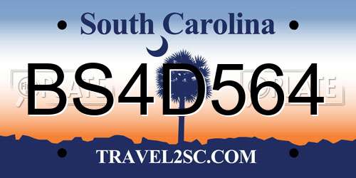 BS4D564 South Carolina License Plate