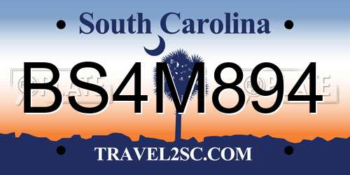 BS4M894 South Carolina License Plate