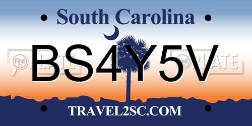 BS4Y5V South Carolina License Plate