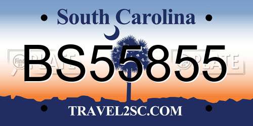 BS55855 South Carolina License Plate