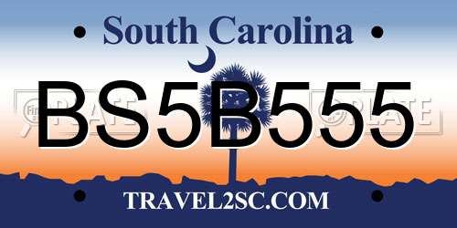 BS5B555 South Carolina License Plate