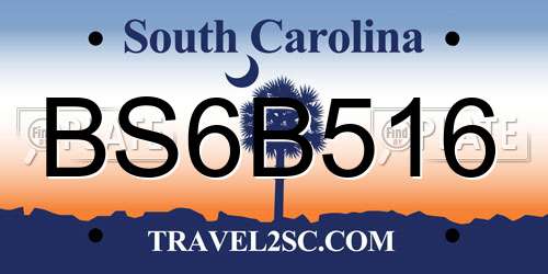 BS6B516 South Carolina License Plate