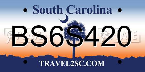 BS6S420 South Carolina License Plate