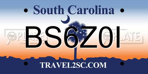 BS6Z0I South Carolina License Plate