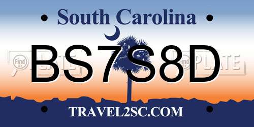 BS7S8D South Carolina License Plate