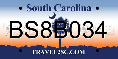 BS8B034 South Carolina License Plate
