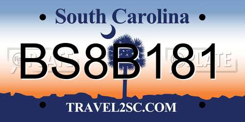 BS8B181 South Carolina License Plate