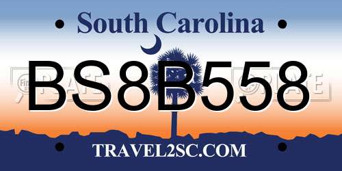 BS8B558 South Carolina License Plate