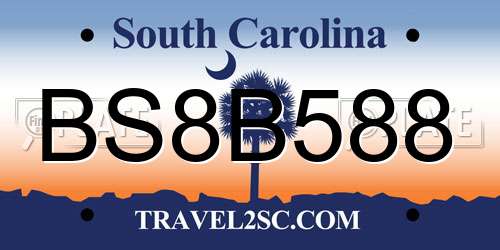 BS8B588 South Carolina License Plate